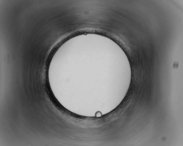 X0000099510016200806121449