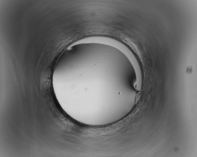 X0000099510017200806121449