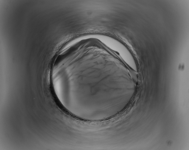 X0000099510019200806121449