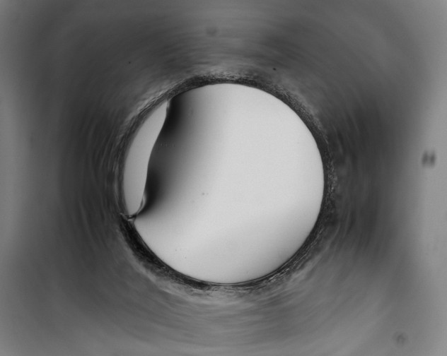 X0000099510020200806121449