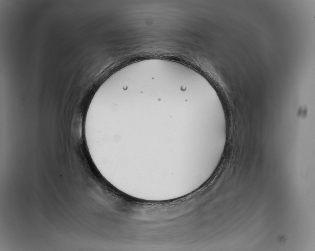 X0000099510021200806121449