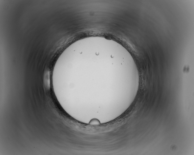 X0000099510022200806121449