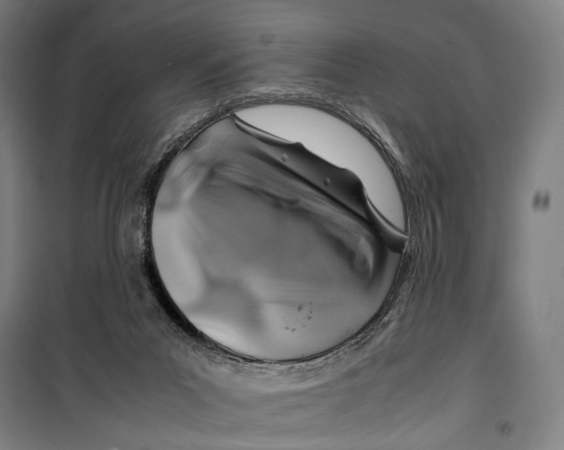 X0000099510023200806121449