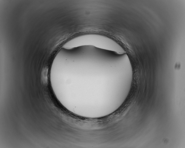 X0000099510024200806121449