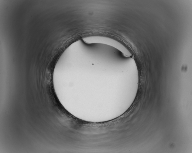 X0000099510025200806121449
