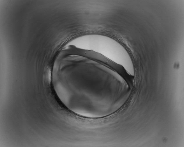 X0000099510027200806121449