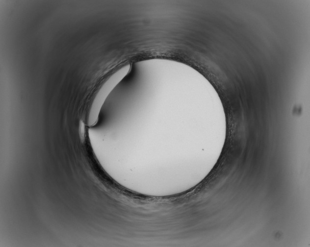 X0000099510028200806121449