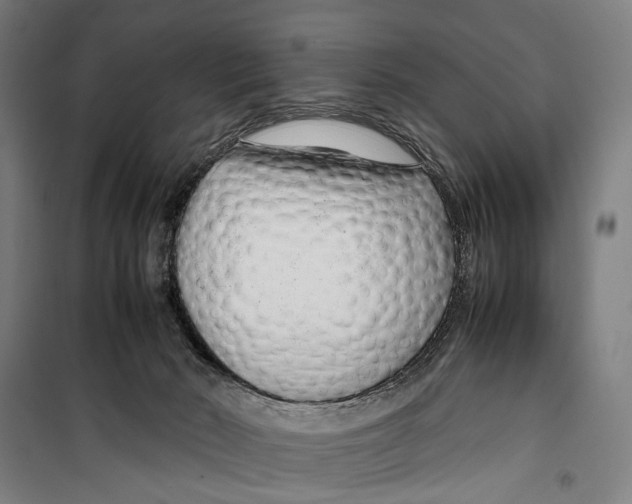 X0000099510030200806121449