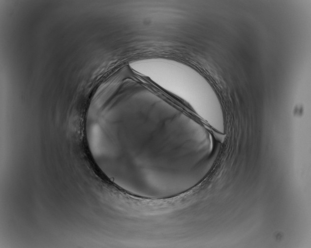X0000099510031200806121449