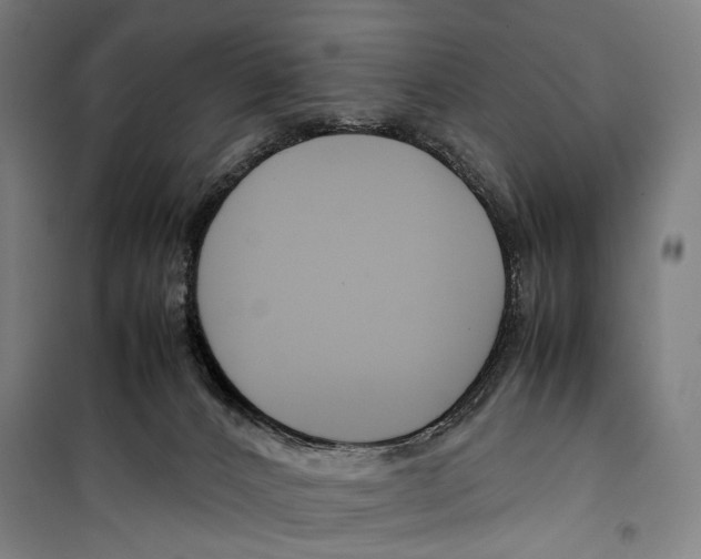 X0000099510032200806121449
