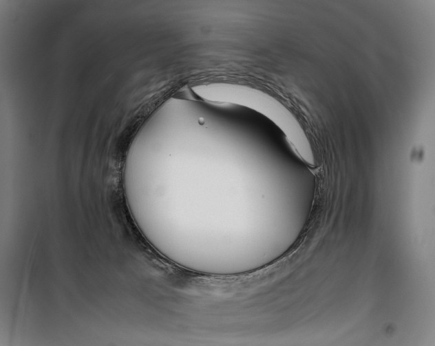 X0000099510033200806121449