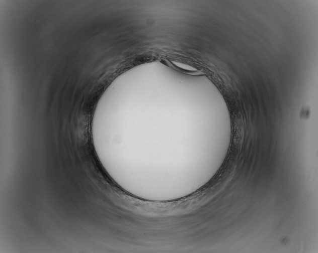 X0000099510034200806121449