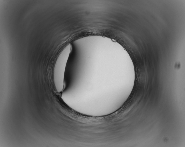 X0000099510036200806121449