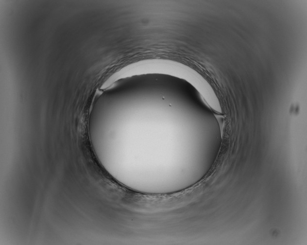 X0000099510037200806121449