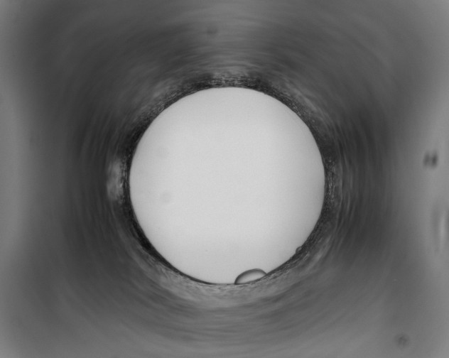X0000099510038200806121449