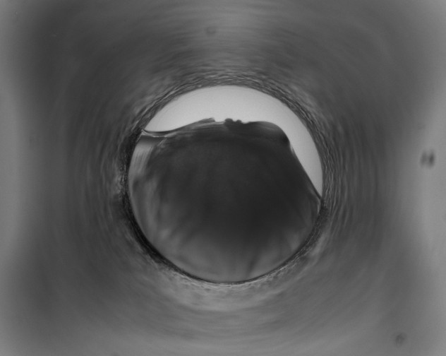 X0000099510039200806121449