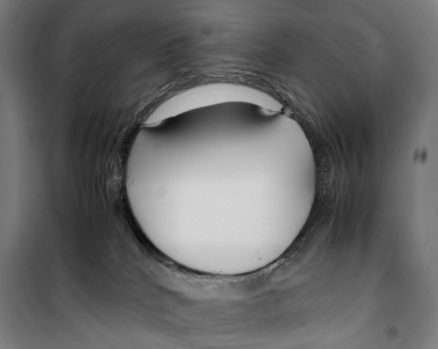 X0000099510040200806121449