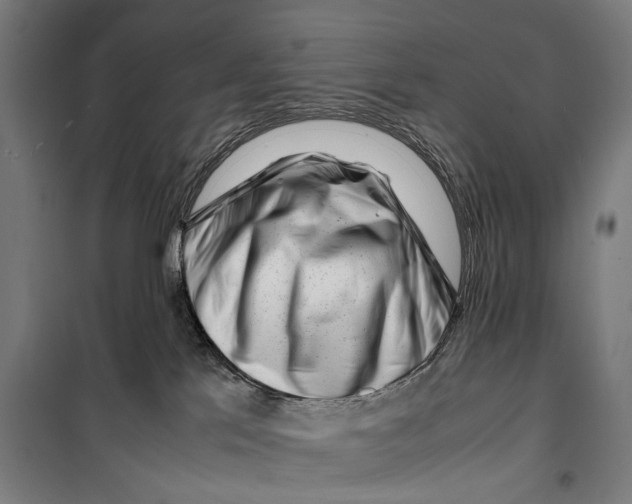 X0000099510041200806121449
