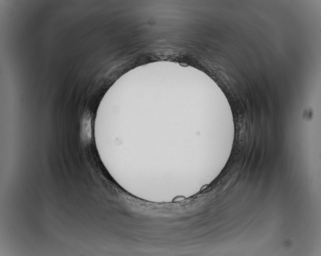 X0000099510042200806121449