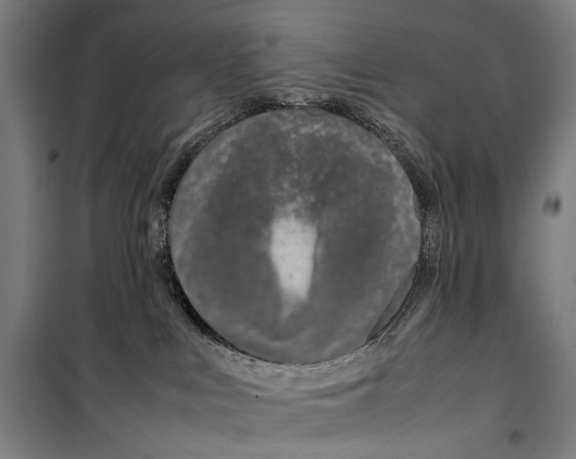 X0000099510043200806121449