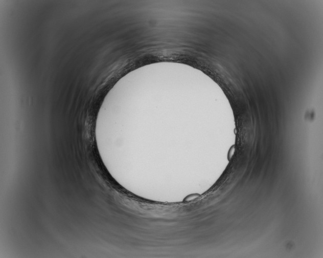 X0000099510044200806121449