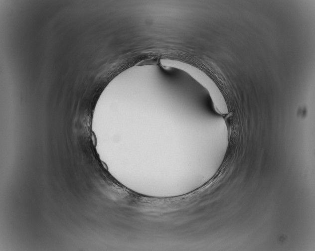 X0000099510045200806121449