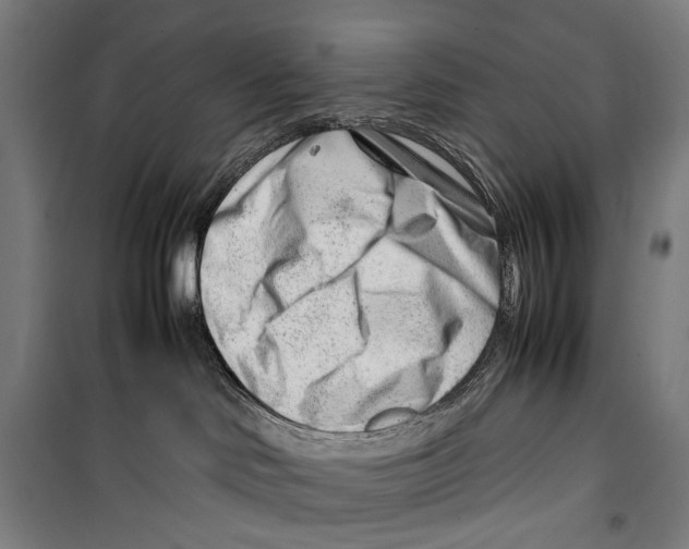 X0000099510046200806121449