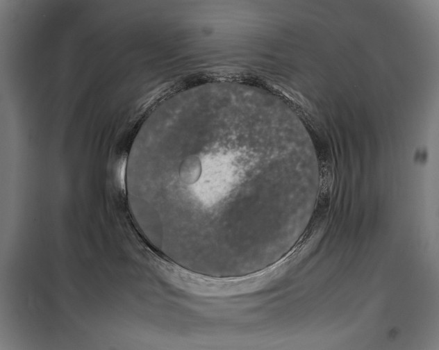 X0000099510047200806121449