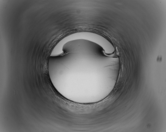 X0000099510048200806121449