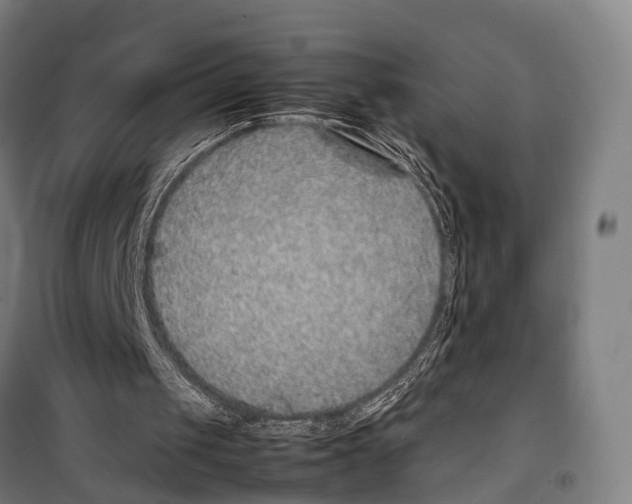 X0000099510049200806121448