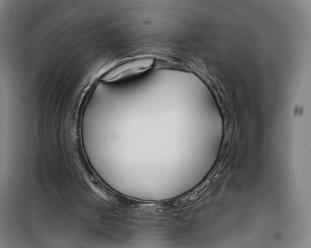 X0000099510050200806121448