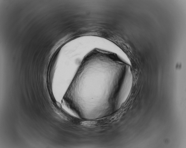 X0000099510051200806121448