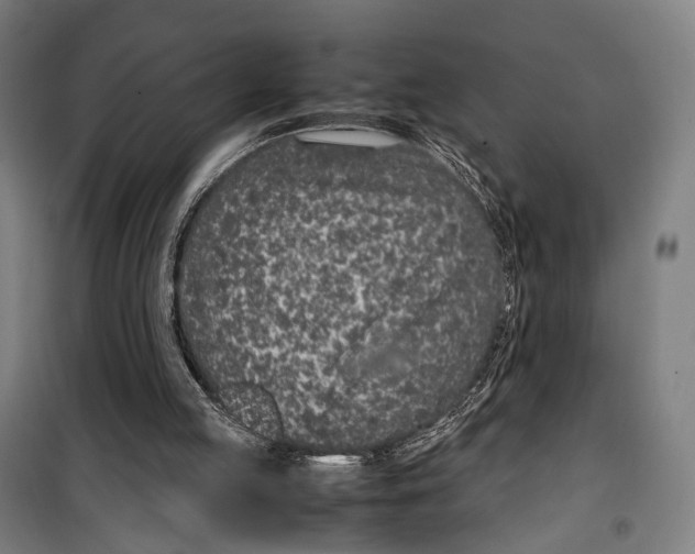 X0000099510053200806121448