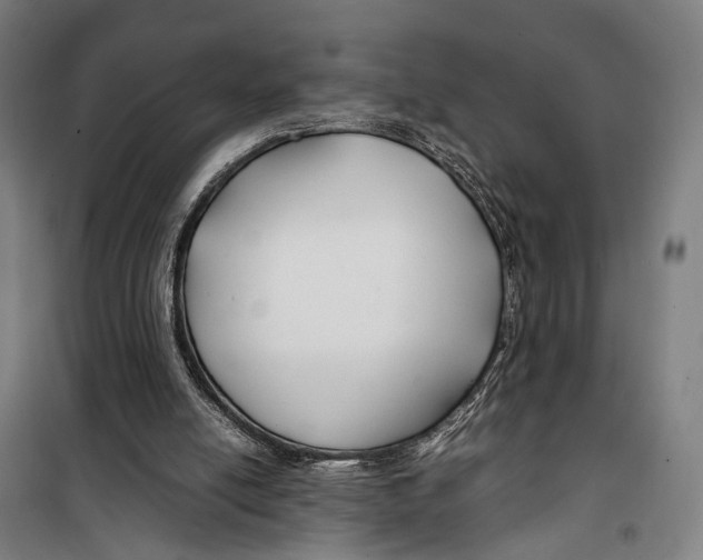 X0000099510054200806121448