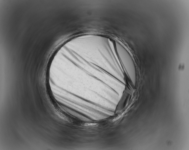 X0000099510055200806121448