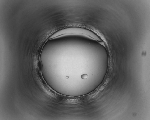 X0000099510057200806121448
