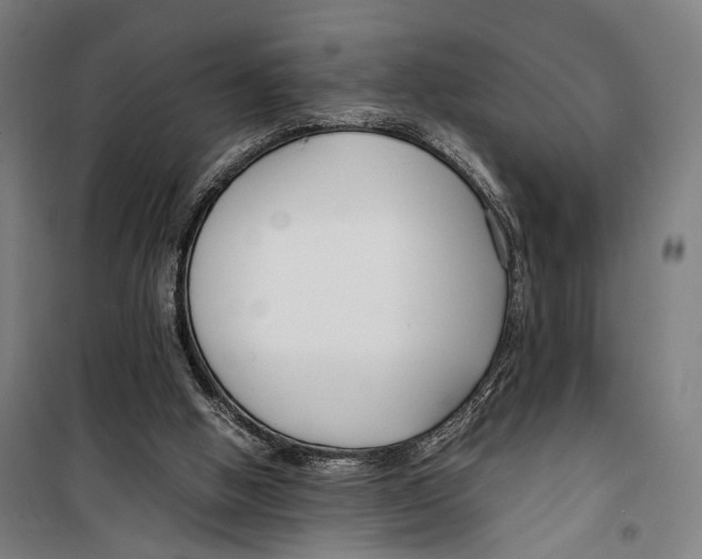 X0000099510058200806121448