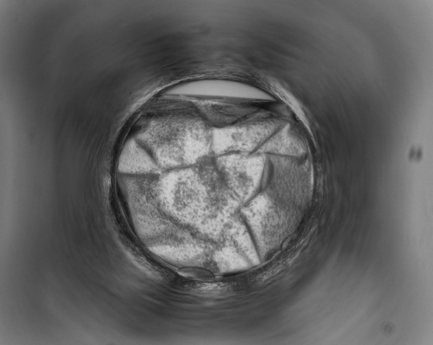 X0000099510059200806121448