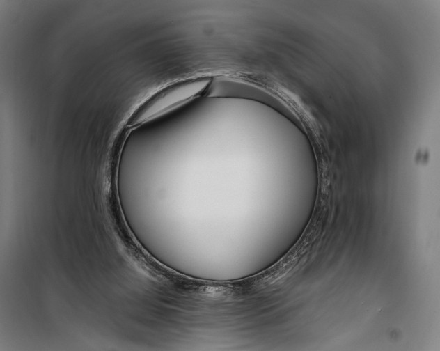 X0000099510060200806121448