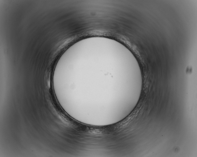 X0000099510062200806121448