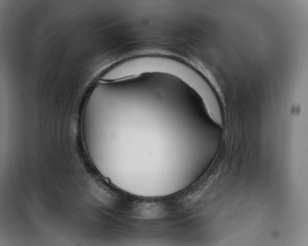 X0000099510063200806121448