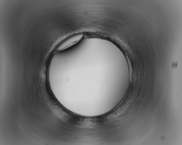 X0000099510064200806121448