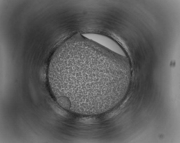 X0000099510065200806121448