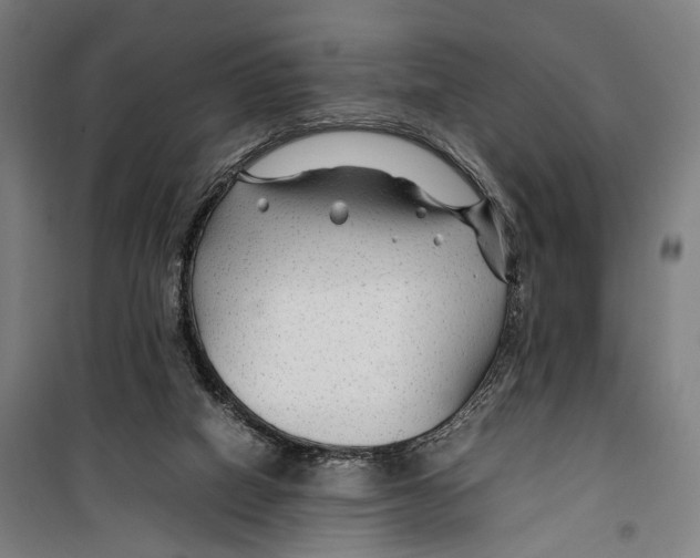 X0000099510066200806121448