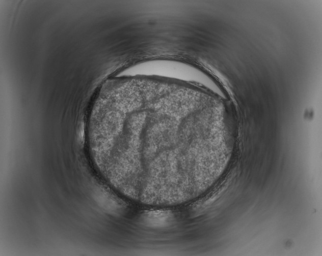 X0000099510067200806121448