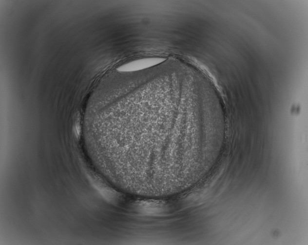 X0000099510069200806121448