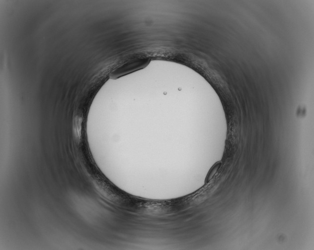 X0000099510070200806121448
