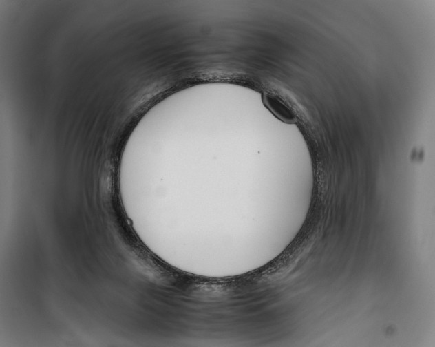 X0000099510071200806121448