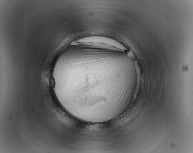 X0000099510072200806121448