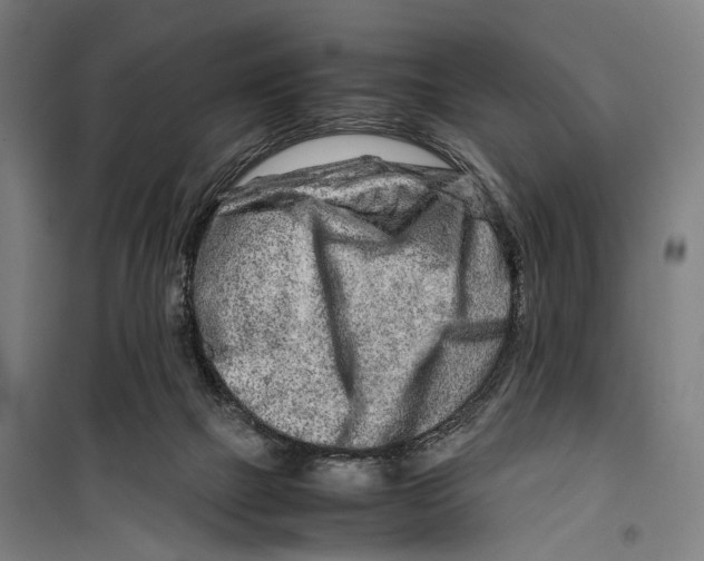 X0000099510073200806121448